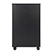 Winsome Halifax Wide Mobile Cabinet with 5- Drawers, for Home Office, Bedroom, Black