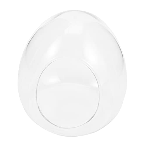 Toyvian Bote de plantador de Musgo Botella ecológica de Musgo macetas de Hierbas de Interior Terrarios envase Plantas de Interior contenedor de terrario Botella de Plantas Vidrio