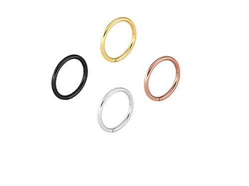 16G 18G 20G Stainless Steel Hinged Clicker Segment Septum Nose Lip Ring Hoop Cartilage Tragus Sleeper Earrings Body Piercing Jewelry For Women Men 6Mm 7Mm 8Mm 9Mm 10Mm Mix Colors A Set (16G - 8Mm - 4Pcs) #TOP14
