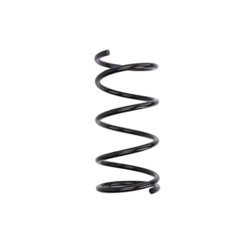 Ressort de suspension SZ0553MT Magnum Technology en acier haute performance
