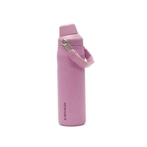 �y���K�戵�X�z �X�^�����[ ���� �H��@�Ή� STANLEY �^���u���[ �X�e�����X 700 700ml �ۗ� ������� �傫�� ������ �X�e�����X�{�g�� ���킢�� �G�A�����C�g �t�@�X�g�t���[�G�A�����C�g�{�g��0.7L 10-11287 ���C���b�N