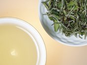 �V�F�h�D�[�u�� �g�� �_�[�W���� �t�@�[�X�g�t���b�V�� �^���{�E�f�B���C�g THURBO DELIGHT First Flush 20g