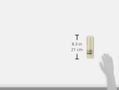 Bolsius Outdoor/Indoor Pillar Candle 200x70mm - Ivory