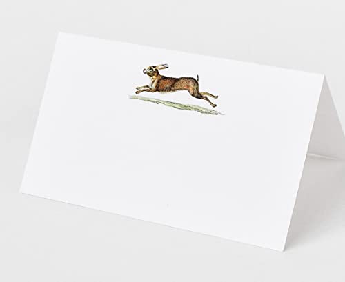 Place Cards with Rabbit (Hare) for Showers and Dinner Parties. Table Tent Style, Scored for Easy Folding (12)