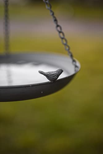 How to attract robins to your garden How to attract robins to your garden