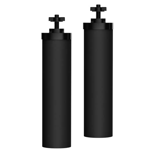 Waterdrop Silver Ion Water Filter Replacement for Berkey Systems