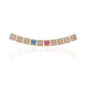 Aidi Boy or Girl Banner Gender Reveal
