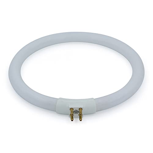 Technical Precision T4 Circular 12W G10Q Fluorescent Bulb Replacement Bulb For Lighted Mirror Victory 6400K Full Spectrum Natural Daylight Circular Tube Light - 4.75 Inch Outside Diameter #TOP2