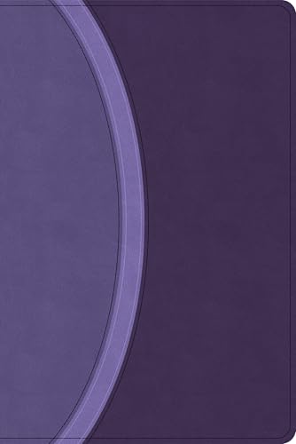 Csb Rainbow Study Bible, Purple Leathertouch (Limited Edition)