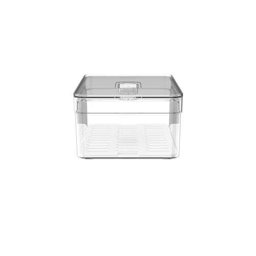 Organizador De Geladeira 2,2L Organizador Clear Fresh Com Bandeja De Drenagem E Respiradouro OU