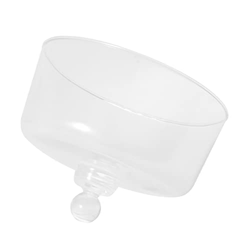 VERDANVERSE para Pasteles y Frutas Tapa Transparente de Vidrio Diámetro de Altura para Micro Paisajismo y Decoración de Postres