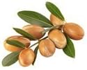 Argan Oil