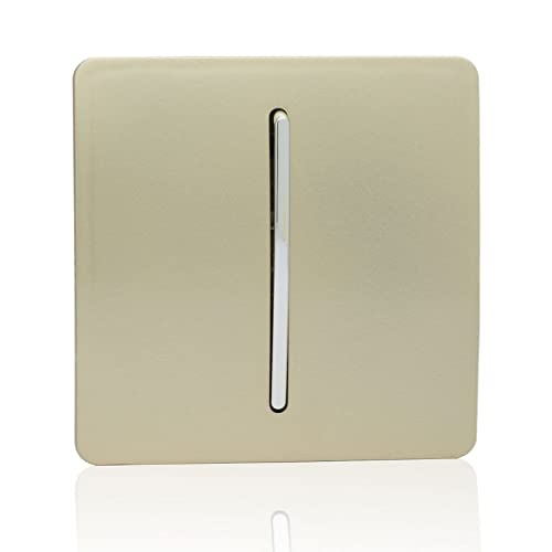 Trendi Switch - Interrupteur Design - 1 bouton - 10 Amp - Doré