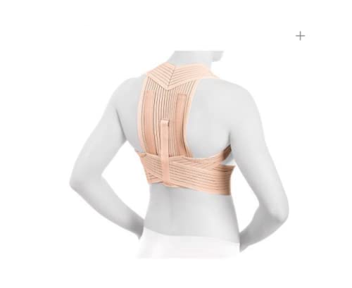 Actius Espaldera Reforzada T.2