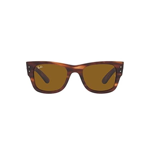 Ray-Ban Gafas de Sol RB 0840S Striped Havana/Brown 51/21/145 unisex