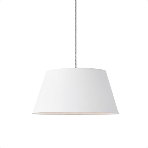 A[g[NX^WI GXvb\V[y_g 1 E26 60W LEDΉ zVF[h y_gCg AW-0583E-WH(zCg) yLED dtz