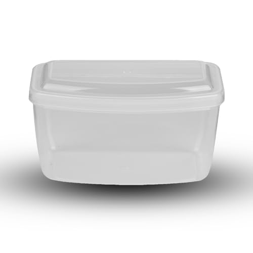 Caja para máscara de Buceo, 2 Unidades 18,3x9x9,8cm Caja de plástico PP Gafas de natación Estuche para Gafas Contenedor para máscara de Exterior Equipo para Buceo Equipo para Snorkel Almacenamiento