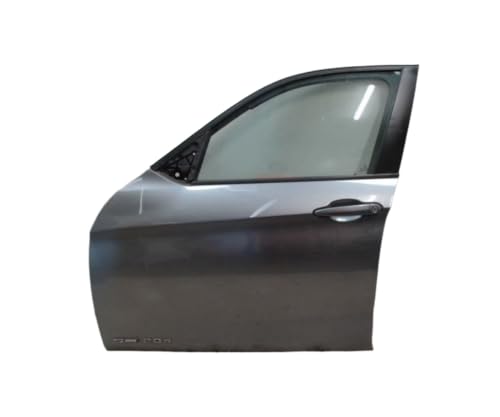 Porte avant gauche BMW X1 pièce de rechange origine occasion 41009628745