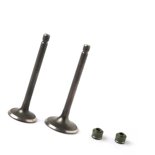 Válvula de motor y retén para YBR125 y XTZ125 repuestos de culata