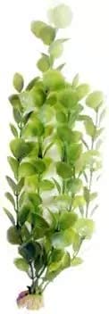 Kapoor pets KFP-10 - Aquarium Pot Aquarium Plant Anchor ((Plant Anchors1) (B0974H8HSX) Amazon Price History, Amazon Price Tracker