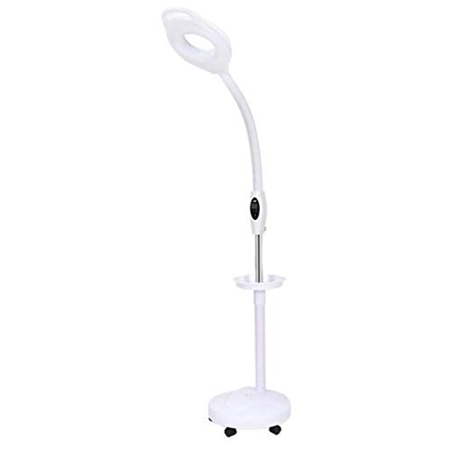 Lámpara de pie LED con Lupa, Lupa Brillante de luz Diurna, Lente de Aumento de 16X con Soporte, Altura Flexible, Cuello de Cisne Ajustable, luz fría de pie para Lectura