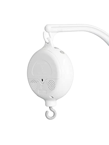 dCxr[IS[ 35̓wxr[xbhoCIS[ xbhxQ xr[xbhx Vp|܂ꂽ΂̒j̎q̂߂̃xr[MtgAobe[쓮̃~[WJoCIS[35ȂĐAxbh[xr[V[Mtg