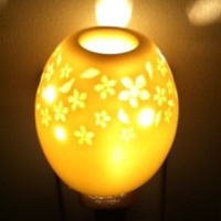 生活の木 アロマオールナイト オーバルのサムネイル