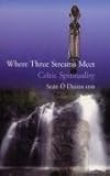 Where Three Streams Meet: Celtic Spirituality