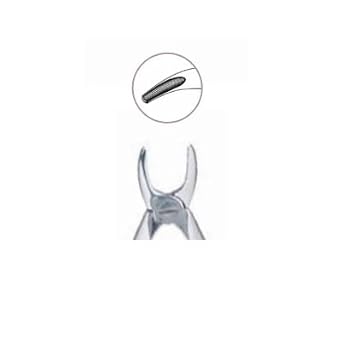 Extracting Forcep English Pattern Pedo Upper & Lower #F