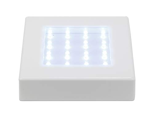 Fortune Products LB-5W Square Light Base with White LED's, 5" Length x 5" Width x 1-1/4" Height #1