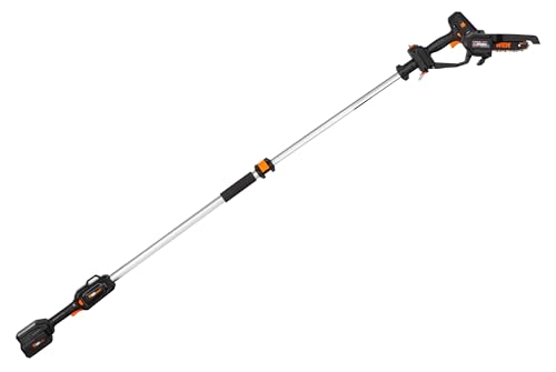 WEN 20V Max 2-in-1 Chainsaw & Pole Saw, 12.3-ft Reach, 4Ah