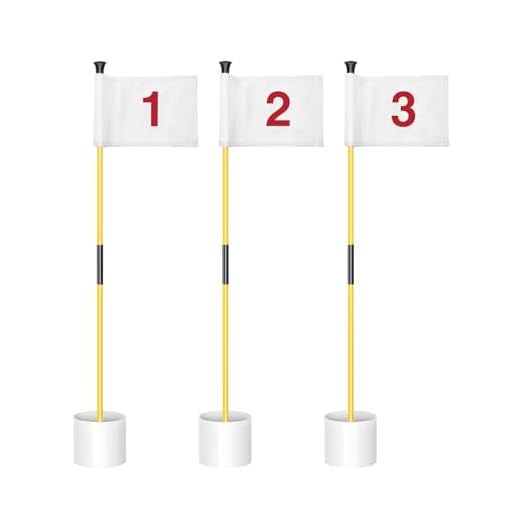 KINGTOP Miniature Golf Flagstick Set
