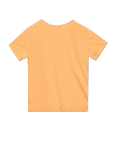 Image of U.S. Polo Assn. Kids Boy's Regular Fit T-Shirt