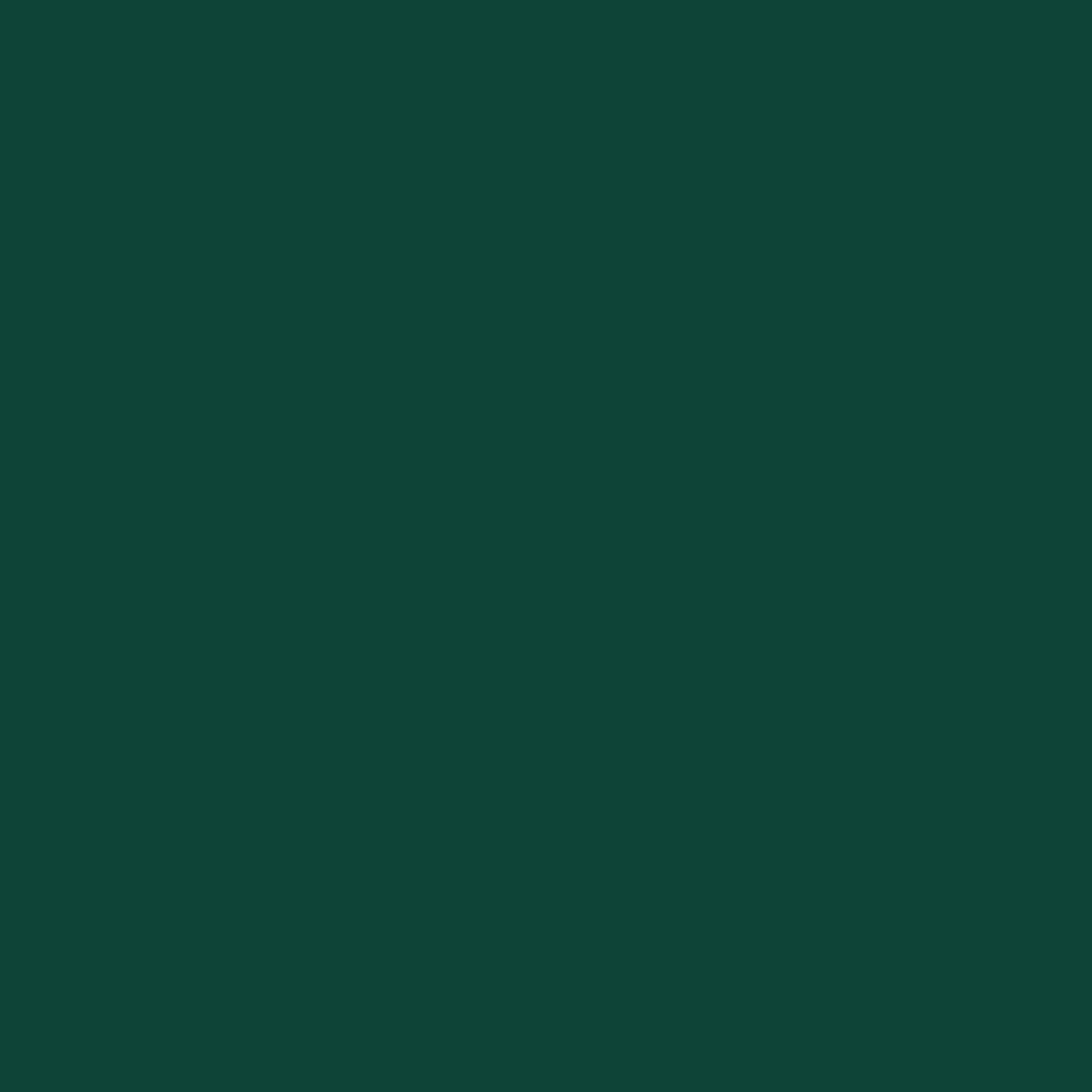 Metaltop - Peinture Murale Interieur - Vert mousse - RAL 6005-5 L - Haute couvrance pour murs en plâtre, placo et béton, rénovation rapide.