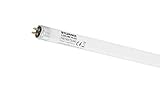 Se vende en pack de tres Sylvania 42 Tubo Fluorescente, Vidrio, Color blanco, T5, 13 W, 3