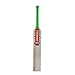 Gray Nicolls Maax English Willow Cricket Bat (SH): Natural Willow