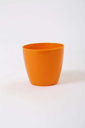 CAPPL Small Plastic Flower Pot for Home Office Indoor & Outdoor Garden, Multicolor, 2.5 inch, Pack of 25 (B085N2GRD3) Amazon Price History, Amazon Price Tracker