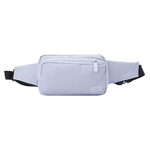 TOTTO - Riñonera Viaje, Modelo Samuel, Medidas 10 x 17 x 4.5 cm, con 1 Compartimento Principal y 1 Bolsillo Delantero, Tejido Resistente y de Calidad, Tira Ajustable, Color Gris Claro