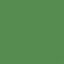 Green Ostrich