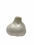 Elephant Garlic (Ajo Elefante) Sorted Bulbs! Great for Fall Planting! Different Sizes! (1 LB)
