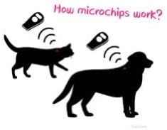 Backagin 20 Packs 2.12mm Microchips Dogs ID Microchip FDX-B ISO 11784/11785 Pet Cats Microchips Implant Kit with Syringe for Veterinary Management