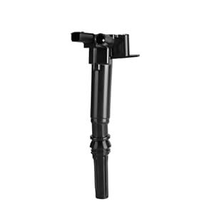 RVIFY Zündspule für Ford (1PC)