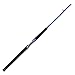 Fiblink Catfish Fishing Rod 1 Piece/2 Piece Catfishing Fishing Pole Portable Travel Heavy Cat Catfish Casting Rod (6'/6'6