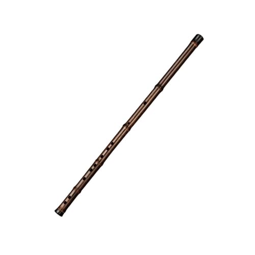 �|�J �v���d�l�̎��|�t���[�g C�L�[ ���S�Ҍ����y��(Ekey2)