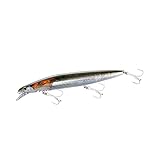 シマノ(SHIMANO) エクスセンス サイレントアサシン 140S フラッシュブースト XM-214T 012 NRボラ 140mm