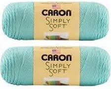 Bulk Buy: Caron Simply Soft Yarn Solids (2-Pack) (Robin's Egg)