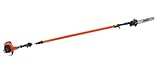 ECHO 12 in. 25.4cc Gas Engine Telescoping In-Line Handle Pole Pruner