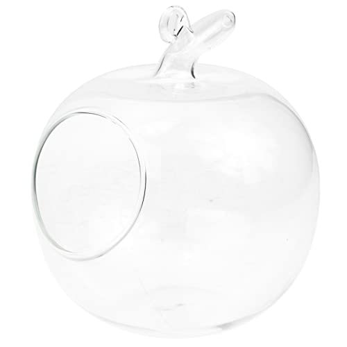 Happyyami Vase Centre De Table Vase en Verre Moderne Vase Plante Aquatique Vases Décoratifs Vase à Fleurs Vintage Vase en Verre Pomme Vase à Boutons Floraux...