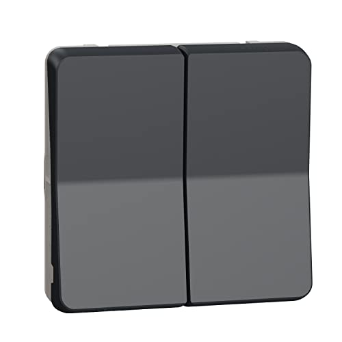 Schneider Electric - Mureva Styl - Double bouton poussoir - composable - IP55 - IK07 - gris - MUR35326