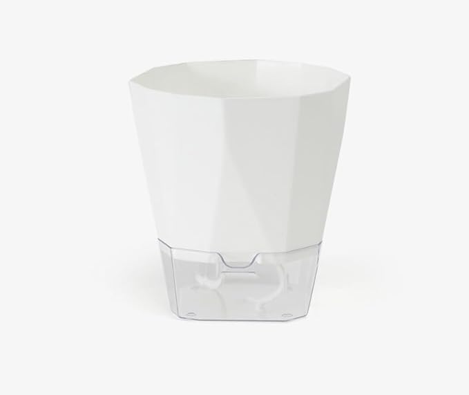 Raiz White Self-Watering Pot for Indoor Plants, Best Flower Pots & Planters for Home Decor, Living Room, Kitchen, Bedroom, Table Top, Office, Gifting | Plants not Included (B0D6N6NRXQ) Amazon Price History, Amazon Price Tracker